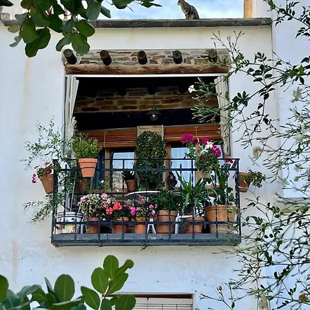 Tuguest Alpujarra Viii * Carataunas